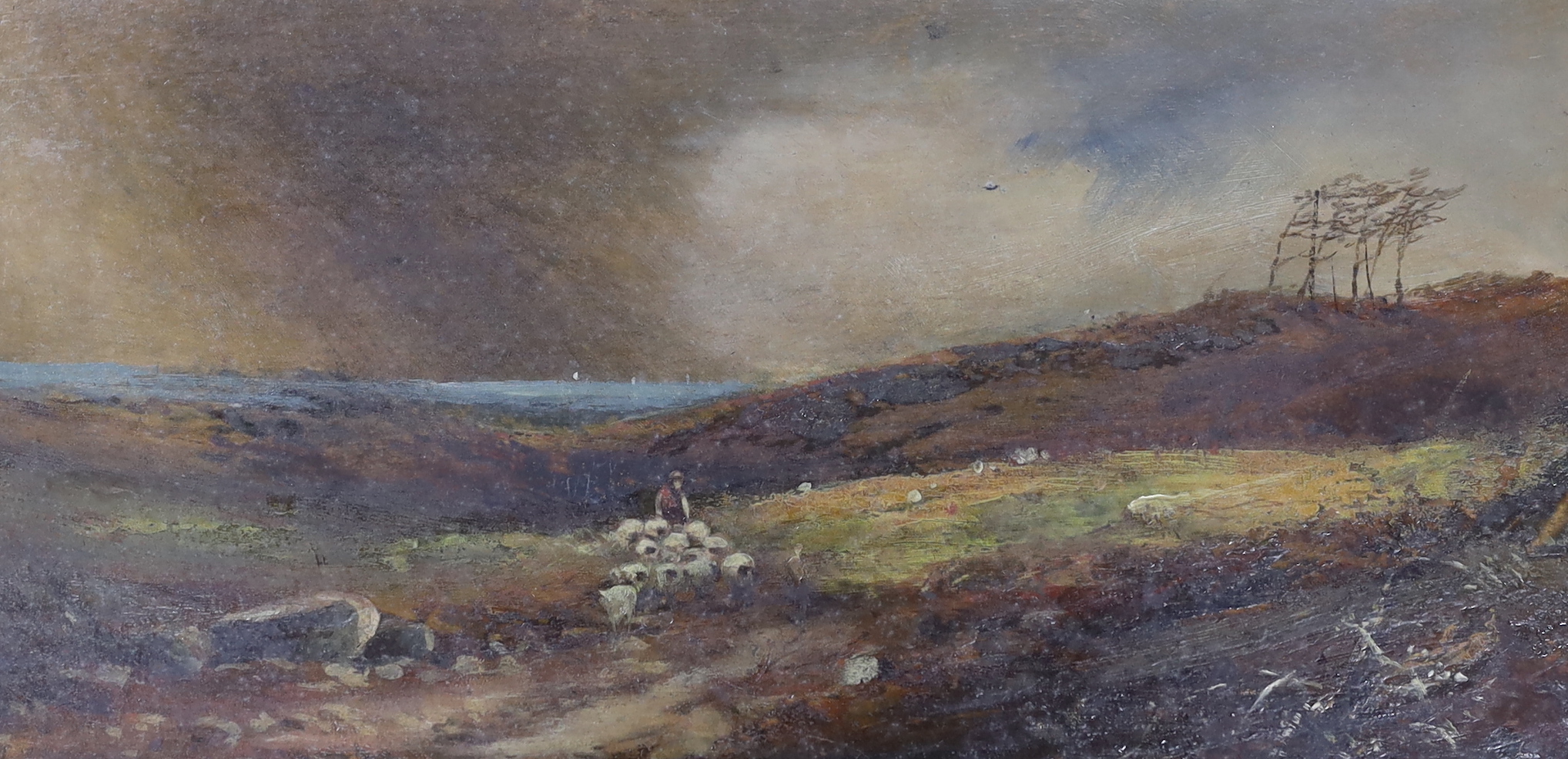 19th century school, oil on canvas, Rural landscape with shepherd and flock of sheep, 39 x 19cm, ornate gilt frame